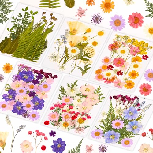 124 Pcs Natural Dried Pressed Flowers and Leaves Kit with Tweezer for Crafts