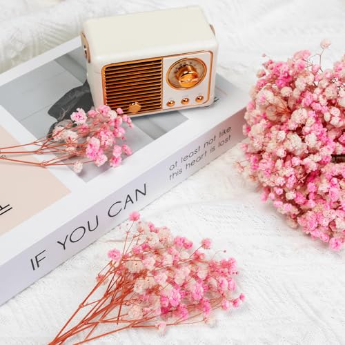 Mini Pink Dried Baby's Breath Flowers, 6-Inch Preserved Gypsophila (70 Stems)