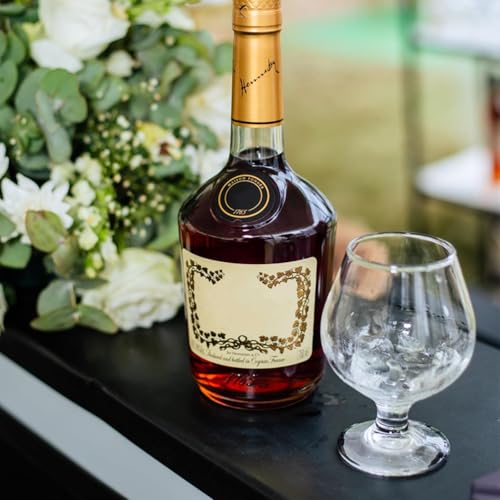 ZOOFOX 6 Pack 12oz Brandy & Whiskey Snifter Glasses - Short Stem Tasting Cups