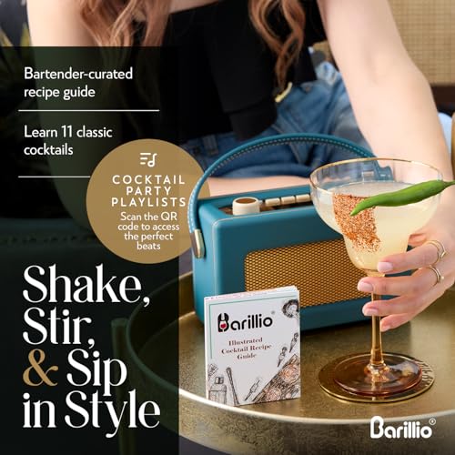 Barillio Silver Weighted Boston Cocktail Shaker Set with Strainer & Accessories - 9-Piece Bar Tool Kit for Home Mixology