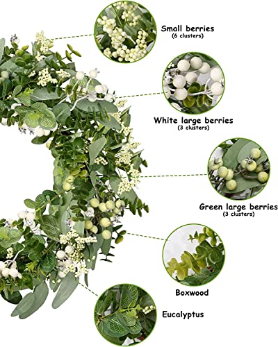 19-Inch Artificial Eucalyptus & Boxwood Front Door Wreath with Berries