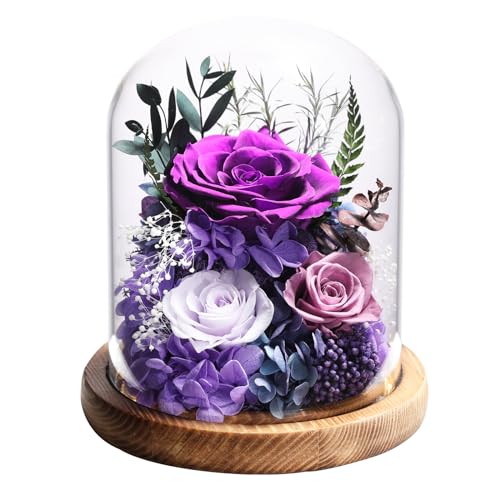 Preserved Purple Rose in Glass Dome with LED Lights - Eternal Flower Gift