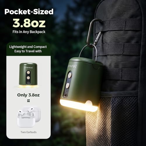 Portable Air Pump for Inflatables - 4500kPa Rechargeable, 180L/min Airflow, 4 Nozzles, Built-In LED Light