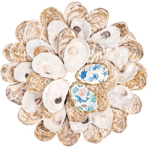 Natural Cleaned Flat Oyster Shells for Crafts & Decoupage, 2-3" (30 Pack)