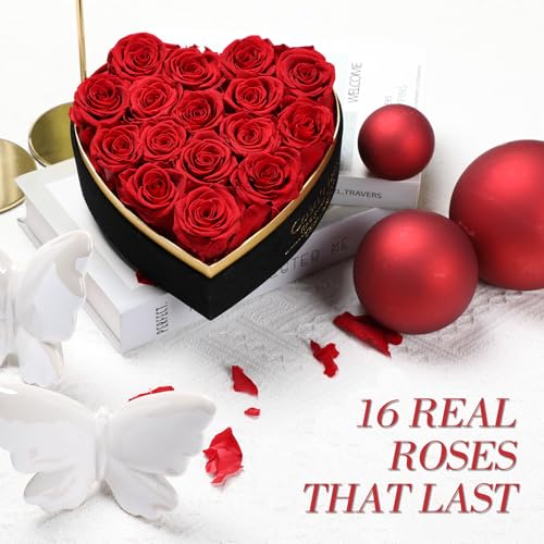 Preserved Red Roses in Heart Gift Box with 100 Languages I Love You Necklace