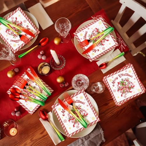 Hushee Disposable Christmas Silverware Set - 200 Pcs Red & Green Plastic Utensils with Napkins