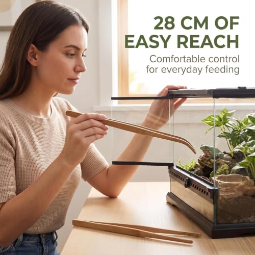 Mozff 2-Pack Wooden Reptile Feeding Tongs - 28cm Eco-Friendly Angled Tweezers for Reptiles & Amphibians