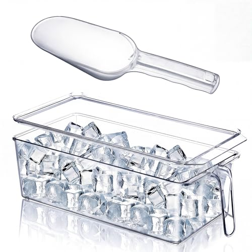 Clear Plastic Ice Storage Bin for Freezer with Lid and Scoop (12.4 Inch)