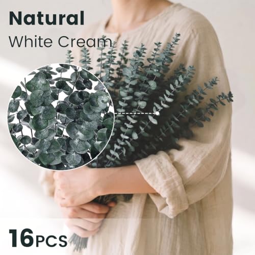 16 PCS Dried Eucalyptus Stems for Shower, 17-Inch Natural Hanging Greenery