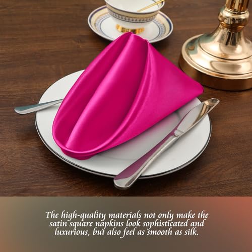 Manyshofu 20x20 Inch Hot Pink Satin Napkins Set of 60 Reusable Party Table Decor