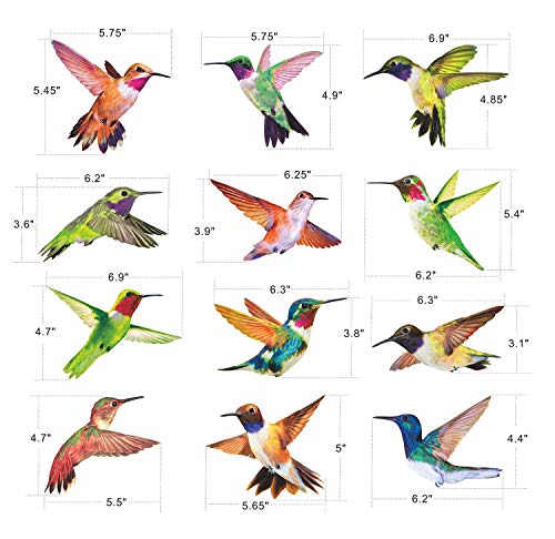 Hummingbird Window Clings - Set of 12 Anti-Collision Decals