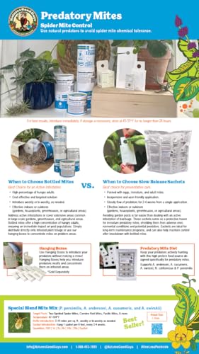 Predatory Mite Hanging Sachets for Thrips and Spider Mite Control