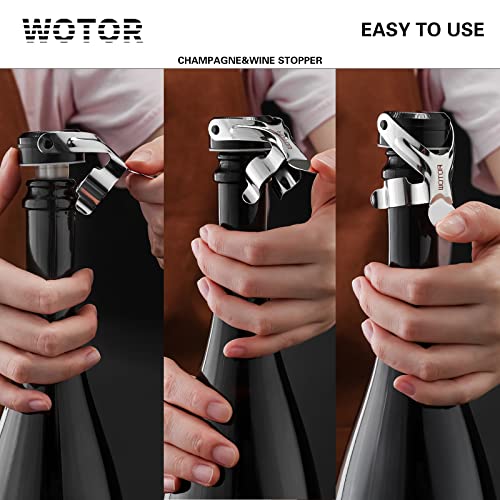 Stainless Steel Wine & Champagne Bottle Stoppers - Leakproof Saver (2 Pack)