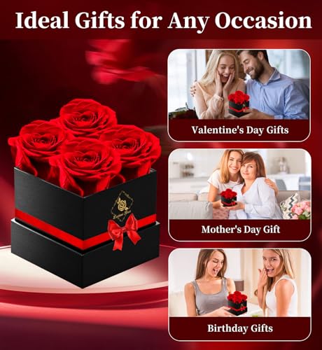 Preserved Real Red Roses in Gift Box - Long-Lasting Forever Flower Bouquet