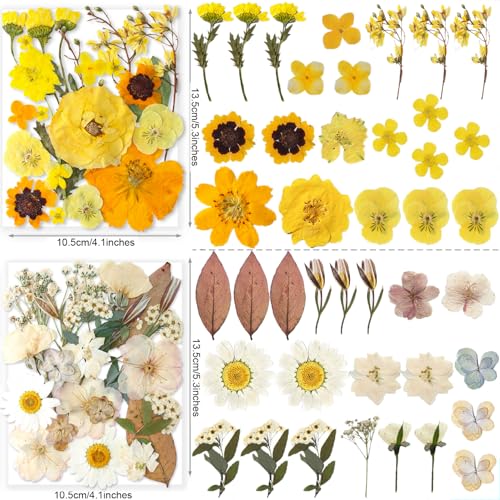 269 Pcs Dried Pressed Flowers Set with Butterfly Stickers for Resin Crafts