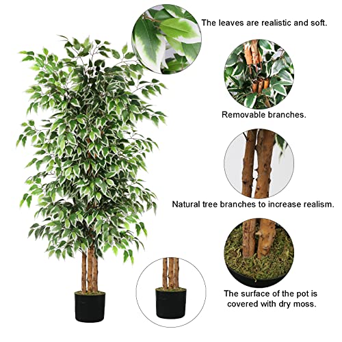 6FT Artificial Ficus Tree with Natural Wood Trunk - Faux Indoor Plant