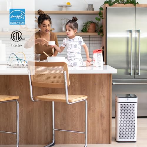 Large Room Air Purifier with HEPA H13 Filter for Smoke and Allergens