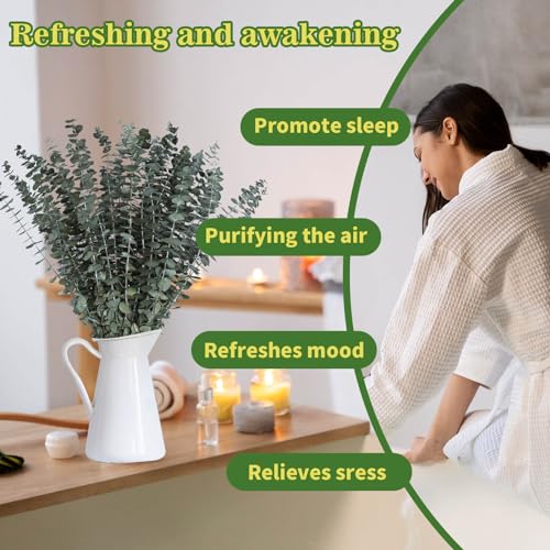 Preserved Dried Eucalyptus Stems - 11 Pack 17 Inch Shower Eucalyptus Decor