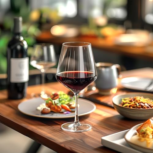 Unbreakable Plastic Wine Glasses 16 oz - Set of 6 BPA-Free Stemware