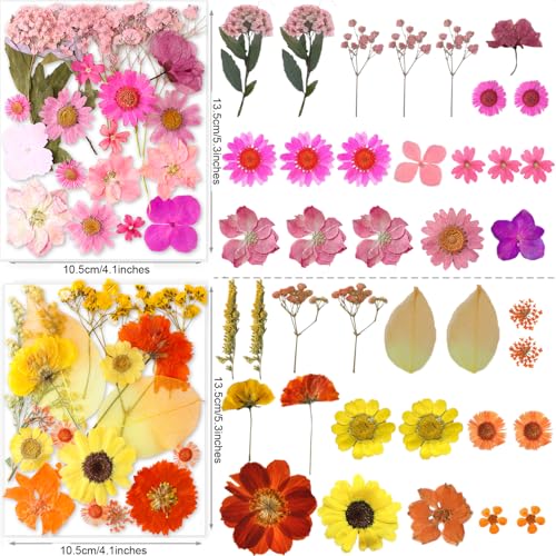 221 Pcs Natural Dried Pressed Flowers & Butterfly Stickers for Resin Crafts