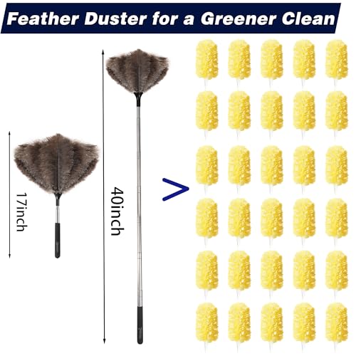 Extendable Ostrich Feather Duster with 40-Inch Stainless Steel Pole