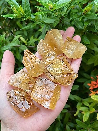 Honey Calcite Rough Natural Stones, 3 Piece Raw Crystal Specimen Set (1-2")