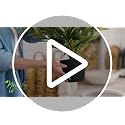 4 ft Artificial Triple Trunk Ficus Tree - Lifelike Faux Plant