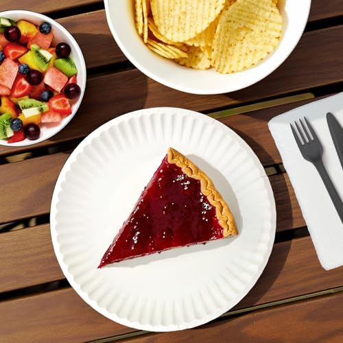 Uncoated White Paper Plates, Microwave Safe, 100 Count