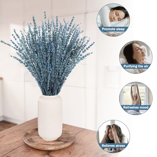 16-Inch Preserved Dried Lavender Flower Bundles, 100g Blue Bouquet