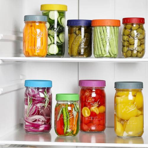 20-Pack Mason Jar Lids - Leakproof Plastic Caps for Regular & Wide Mouth