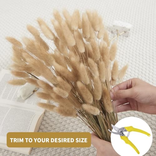 120pcs Dried Bunny Tails Grass 17-Inch Natural Pampas Floral Arrangement