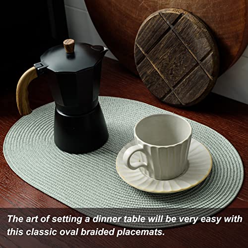 Woven Heat-Resistant Placemats Set of 6, 18x12 Inch Washable Table Mats