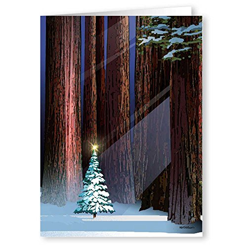 Christmas Greeting Cards Forest Scene with Holiday Message, 18-Pack