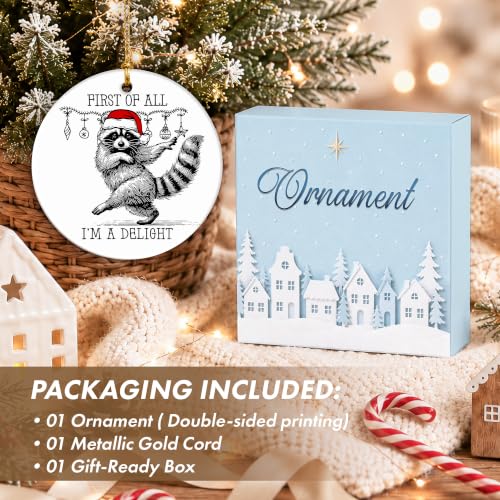Funny Raccoon Christmas Ornament - Woodland Santa Hat Ceramic Keepsake