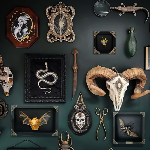 Real Framed Jewelled Flower Mantis Taxidermy - 4.7-inch Wooden Shadow Box