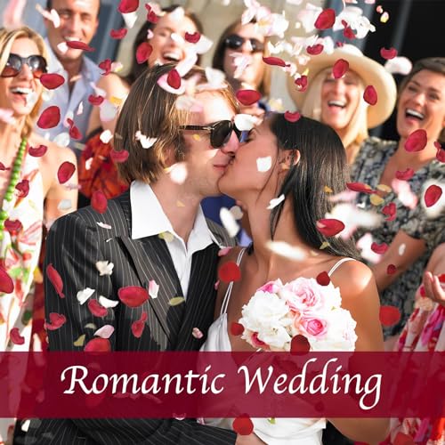 180 Real Preserved Red Rose Petals for Romantic Decor and Wedding Confetti