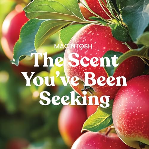 Yankee Candle Macintosh, Holiday Scented Candle, 14.5oz 3-Wick Candle Jar with up to 40 Hours Burn Time, Giftable, Holidays
