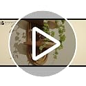 2-Tier Arched Wooden Floating Wall Shelf for Plants Boho Decor
