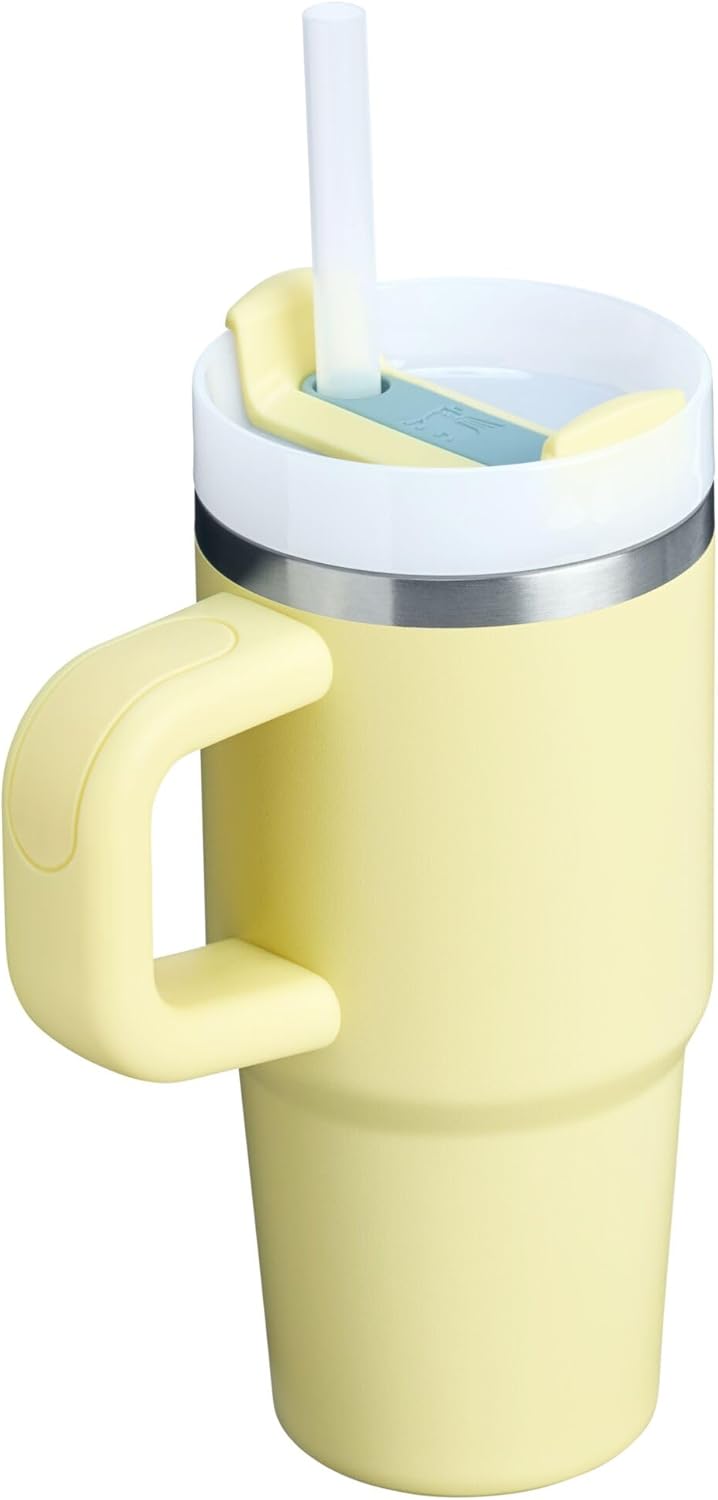STANLEY Quencher H2.0 Tumbler - Insulated 14 oz Stainless Steel Cup with Handle & Straw | BPA-Free Pomelo Color