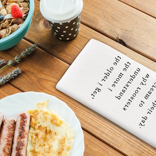 Funny Sarcastic Kitchen Towels - Variation 7, 16x24 Inch Dish Cloths Decor