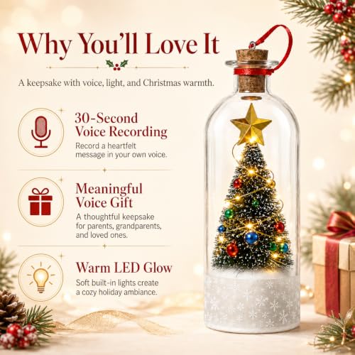 Christmas Message Bottle, 30-Second Voice Recording, LED Lights