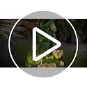 39-Inch Peacock Outdoor Water Fountain with LED Lights