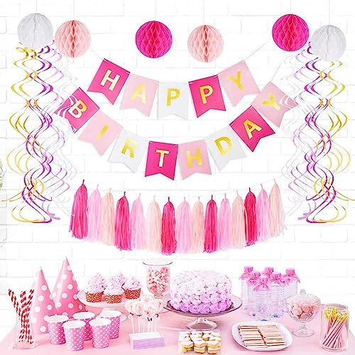 Pink Tissue Paper Tassel Garland Banner, 15-Piece DIY Party Decoration