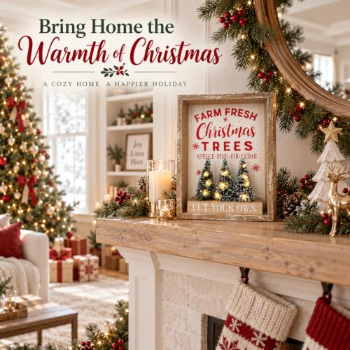 Eternhome Christmas Lighted Tabletop Decor with 6H On/18H Off Timer