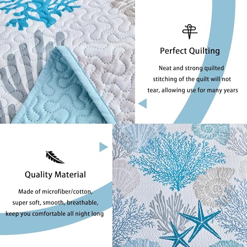 3-Piece Coastal Quilt Set Full/Queen - Soft Beach Nautical Bedspread