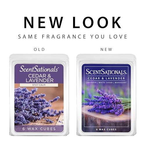 Cedar & Lavender Scented Wax Melts - 24 Cubes, Long-Lasting Home Fragrance