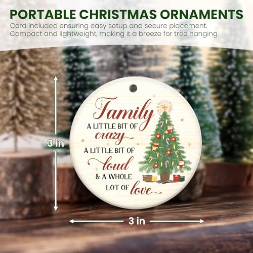 Funny Family Christmas Ornament 2026 - Ceramic Holiday Keepsake Gift
