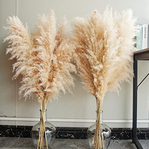 40-Inch Natural Dried Pampas Grass Decor (10 Stems) for Boho Home & Wedding