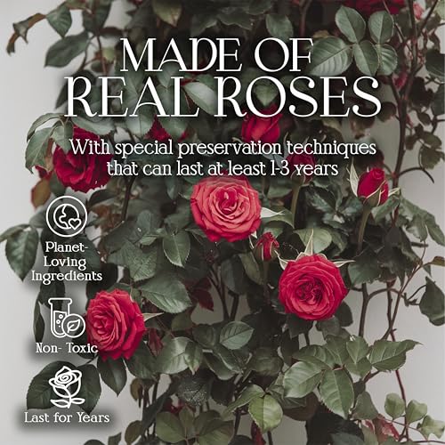 Preserved Red Roses in Heart-Shaped Box - 16 Forever Flowers Gift