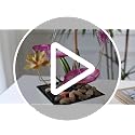 Zen Lotus Tabletop Water Fountain - Indoor Desktop Waterfall
